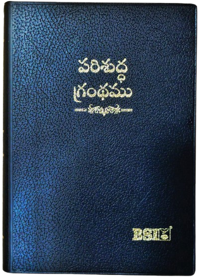 Telugu Bible Classic Series Red letter Bible -  పరిశుద్ధ గ్రంథము: Telugu O.V. 2021 (Amity) with Concordance Vinyl TI Gilt Yapp