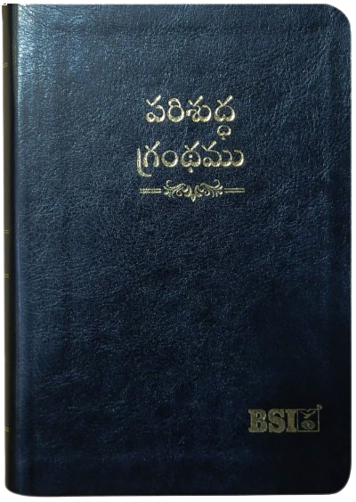 పరిశుద్ధ గ్రంథము: Telugu O.V. 2021 (Amity) Telugu Bible with Concordance Compact Vinyl TI Gilt Zip