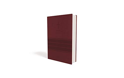 Holy Bible: New International Version, Burgundy Leathersoft, Value Thinline Bible