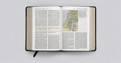 ESV Study Bible (Esv Bibles)