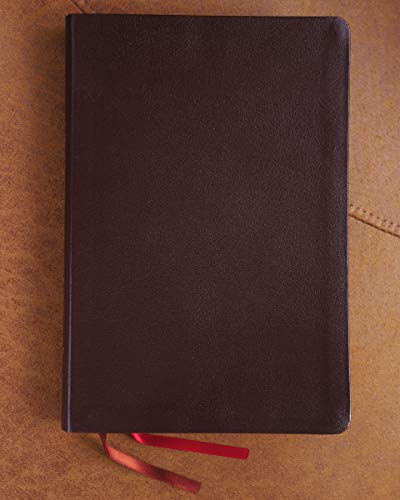 Holy Bible: New International Version, Burgundy Bonded Leather, Thinline, Giant Print Bible: Red Letter Edition