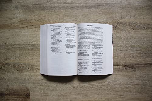 NIrV, Children’s Holy Bible, Paperback