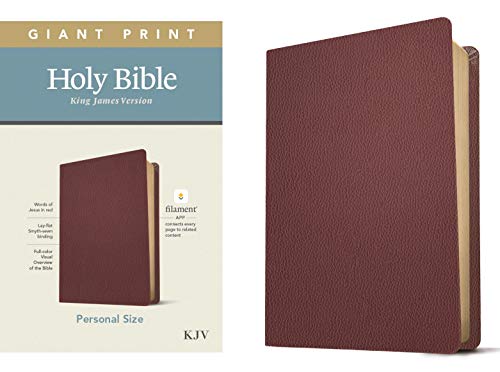 KJV Personal Size Giant Print Bible, Filament Edition, Brown
