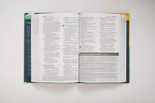 New Believer's Bible NLT (Softcover): New Believer's Bible, New Living Translation, First Steps for New Christians