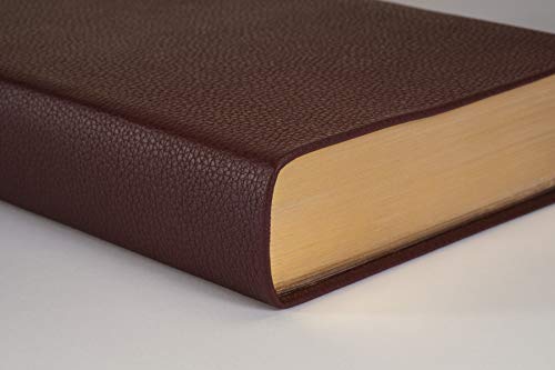 NLT Personal Size Giant Print Bible, Filament Edition, Brown: New Living Translation, Rustic Brown, Leatherlike, Personal Size, Giant Print