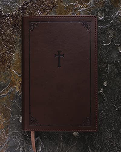 Holy Bible: New International Version, Chocolate, Italian Duo-Tone Teen Study Imitation Leather