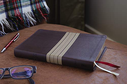 Holy Bible: New International Version, Chocolate/Tan Leathersoft, Thinline, Red Letter