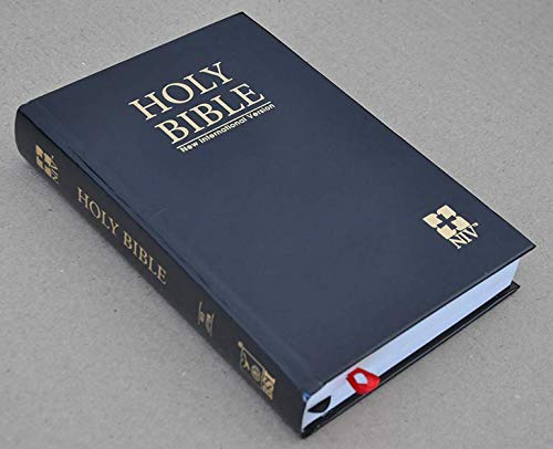 NIV Bible Regular Size Red Letter HB
