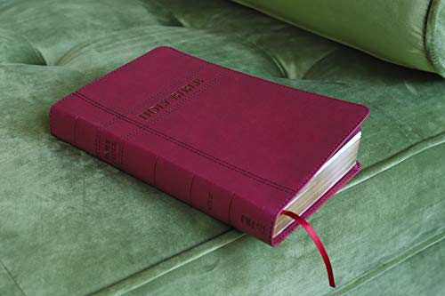 NIV, Premium Gift Bible, Leathersoft, Burgundy, Red Letter E