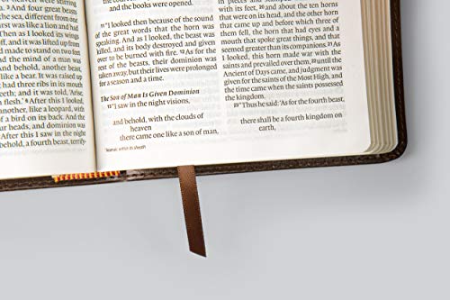 ESV Large Print Compact Bible