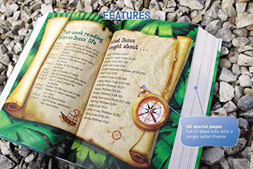 NRSV, Adventure Bible, Hardcover, Full Color Interior, Comfort Print