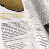 NIV Study Bible: New International Version, Burgundy, Leathersoft, Comfort Print (NIV Study Bible, Fully Revised Edition)