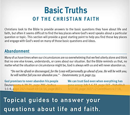 NLT Christian Basics Bible Brown/Tan, Indexed, The: New Living Translation, Brown & Tan, Leatherlike