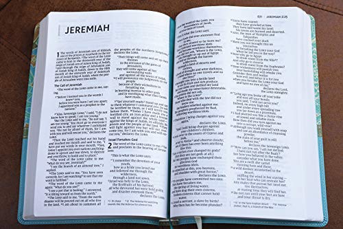 Holy Bible: New International Version, Turquoise, Leathersoft, Thinline, Red Letter