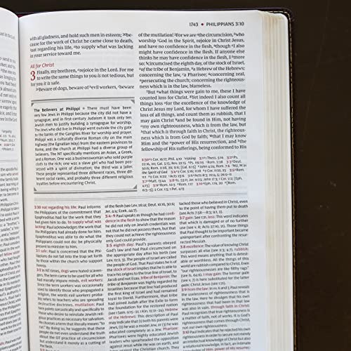 NKJV Study Bible, Hardcover, Comfort Print: The Complete Resource for Studying God’s Word