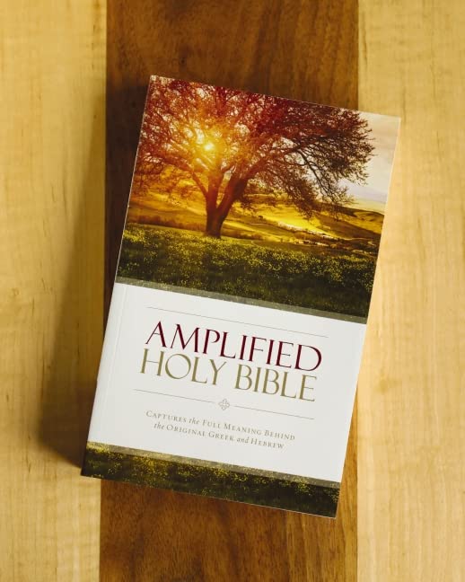 AMPLIFIED HOLY BIBLE SC