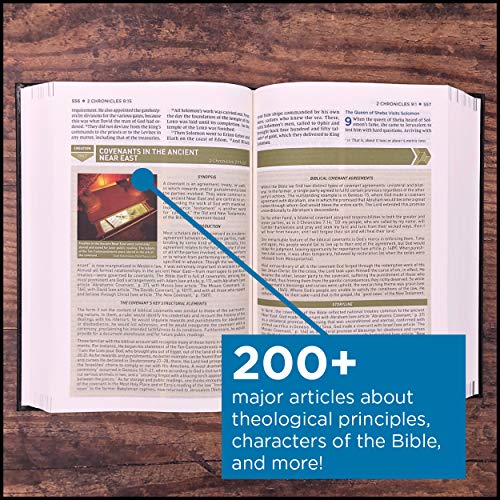 NIV Storyline Bible: New International Version, Black, Leathersoft, Each Story Plays a Part, See How They All Connect
