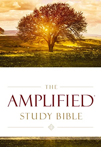 AMPLIFIED STUDY BIBLE HC