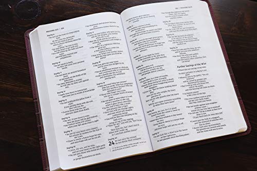 Holy Bible: New International Version, Burgundy Leathersoft, Value Thinline Bible