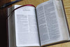 Amplified Holy Bible, Compact, Leathersoft, Tan/Burgundy: Captures the Full Meaning Behind the Original Greek and Hebrew