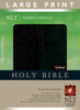 NLT Compact Edition Bible Large Print Tutone Black/Onyx (Compact Edition: NLTSE)