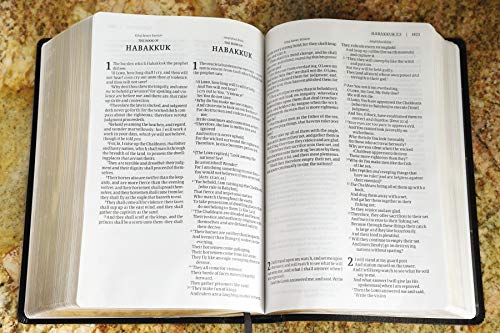 KJV, Amplified, Parallel Bible, Large Print, Bonded Leather, Black, Red Letter: Two Bible Versions Together for Study and Comparison