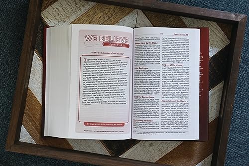 NKJV, Teen Study Bible, Hardcover, Comfort Print: NKJV, Teen Study Bible, Comfort Print