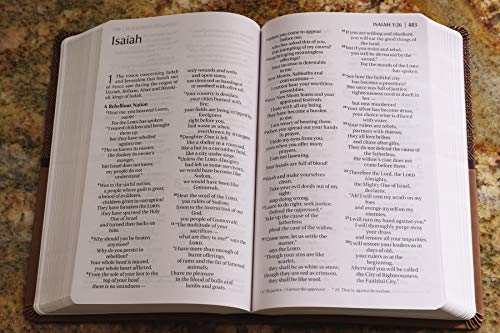 Holy Bible: New International Version, Tan, Italian Duo-tone, Readeasy Bible