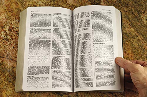 NIV, Holy Bible, Soft Touch Edition, Leathersoft, Brown, Com