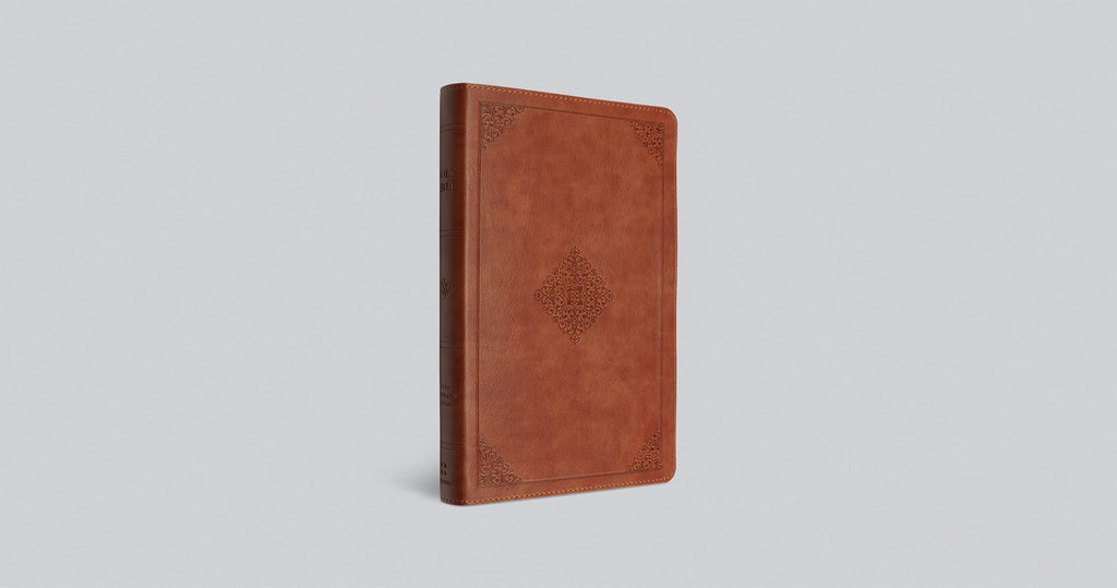 ESV Thinline Bible: English Standard Version, Terracotta, TruTone, Ornament Design, Thinline Leather Bound – Import, 26 August 2021