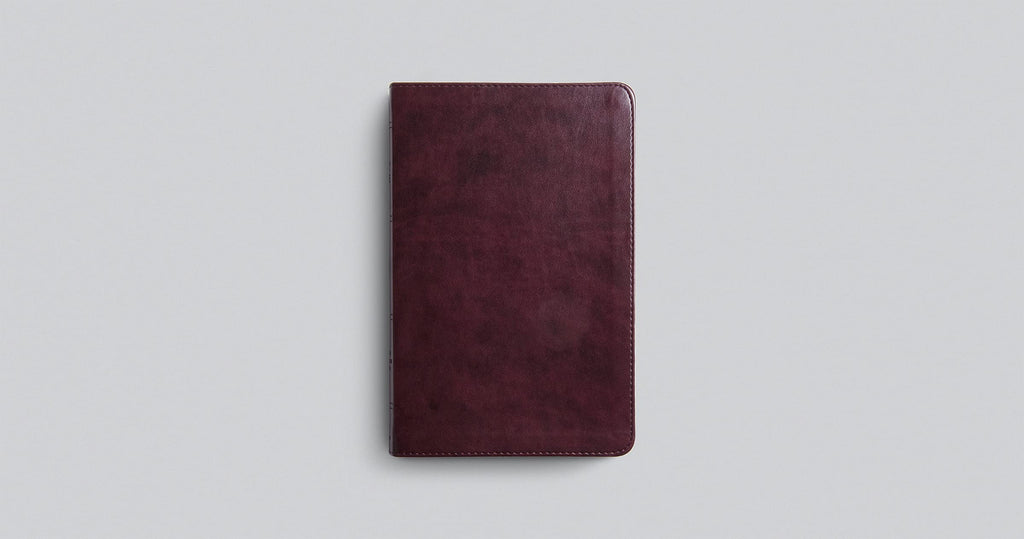 ESV Large Print Thinline Bible: Esv Thinline Bible Trutone, Mahogany Imitation Leather – Import, 25 May 2021