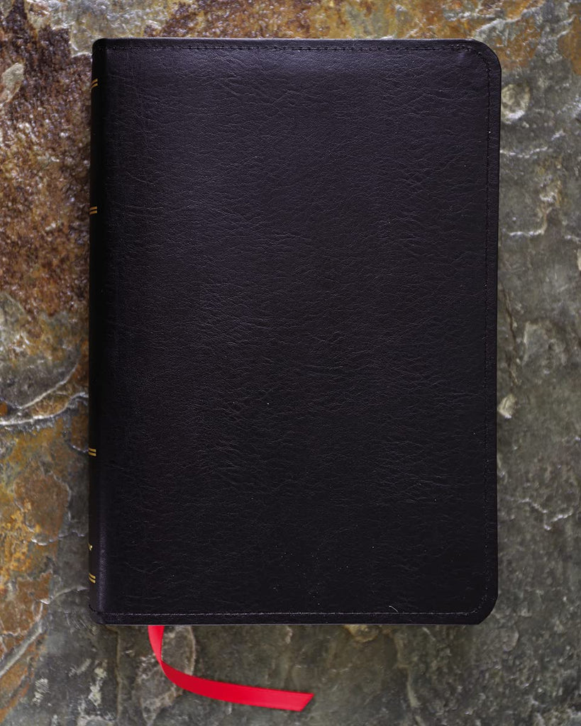 KJV, Thompson Chain-Reference Bible, Handy Size, Bonded Leather, Black, Red Letter: King James Version, Black, Bonded Leather, Handy Size, Red Letter Bonded Leather – Import, 8 June 2021