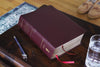 Biblical Theology Study Bible: New International Version, Burgundy, Bonded Leather, Comfort Print; Follow Gods Redemptive Plan As It Unfolds Throughout Scripture Bonded Leather