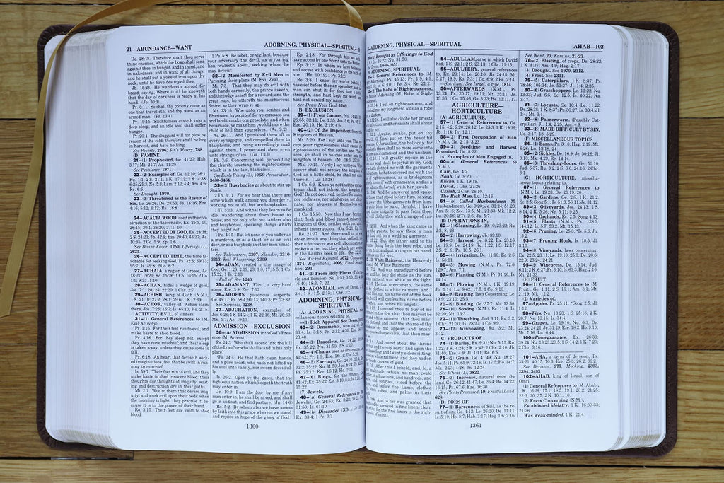 KJV, Thompson Chain-Reference Bible, Handy Size, Leathersoft, Brown, Red Letter: King James Version, Brown, Leathersoft, Red Letter, Handy Size Imitation Leather – Import, 8 June 2021