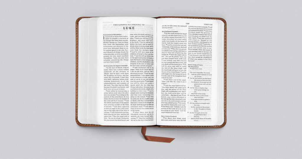 ESV Pocket Bible Imitation Leather – Import, 30 June 2020