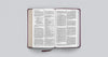 ESV Large Print Thinline Bible: Esv Thinline Bible Trutone, Mahogany Imitation Leather – Import, 25 May 2021