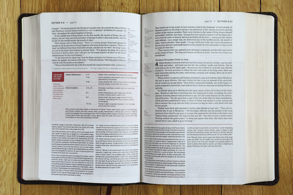 Life Application Study Bible: New International Version, Burgundy, Bonded Leather, Red Letter Edition, Gold Edge (NIV Life Application Study Bible, Third Edition) Bonded Leather