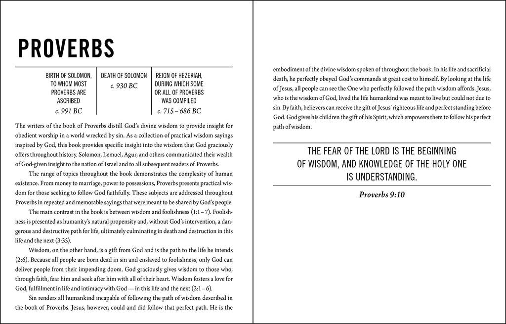 The Jesus Bible, NIV Edition, Imitation Leather, Blue Imitation Leather – Special Edition
