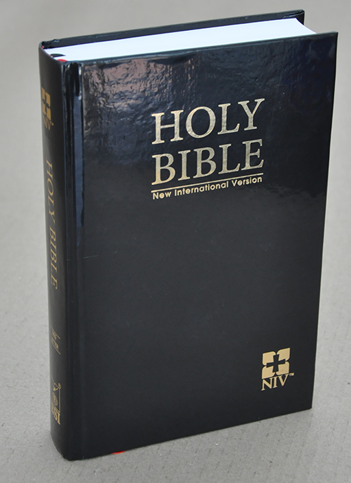 NIV Bible HB RL